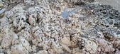 Enlarge photo 90