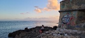 Enlarge photo 96