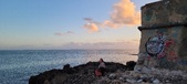 Enlarge photo 95