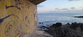 Enlarge photo 117
