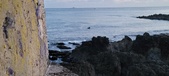 Enlarge photo 143