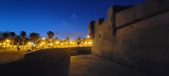 Enlarge photo 211