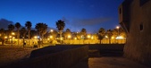 Enlarge photo 215