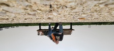Enlarge photo 13