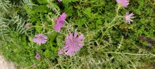 Enlarge photo 19