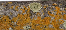 Enlarge photo 29