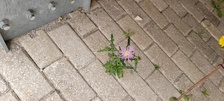 Enlarge photo 41