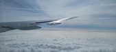 Enlarge photo 93