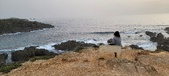 Enlarge photo 42