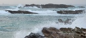 Enlarge photo 262