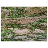 Enlarge photo 770
