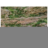 Enlarge photo 780