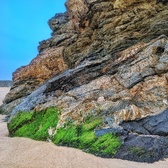 Enlarge photo 779