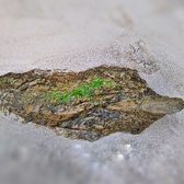 Enlarge photo 768
