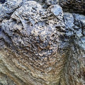 Enlarge photo 765