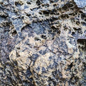 Enlarge photo 767