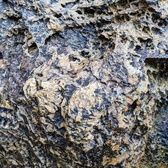 Enlarge photo 766