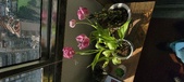 Enlarge photo 119