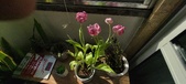 Enlarge photo 120