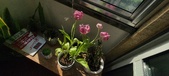 Enlarge photo 121