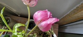 Enlarge photo 122