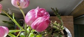 Enlarge photo 123