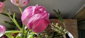 Enlarge photo 124