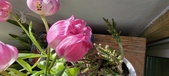 Enlarge photo 125