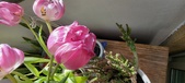 Enlarge photo 126