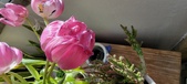 Enlarge photo 127