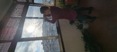 Enlarge photo 174