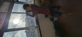 Enlarge photo 173