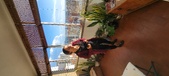 Enlarge photo 186