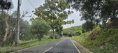 Enlarge photo 195