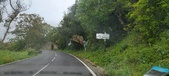 Enlarge photo 196