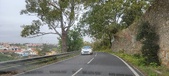 Enlarge photo 198
