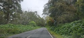 Enlarge photo 202