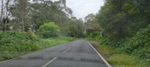 Enlarge photo 203
