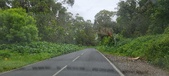 Enlarge photo 204