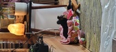 Enlarge photo 212