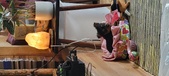 Enlarge photo 214