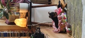 Enlarge photo 215