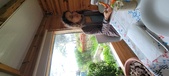 Enlarge photo 217