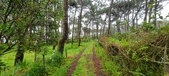 Enlarge photo 242