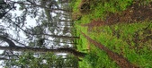 Enlarge photo 243