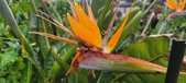 Enlarge photo 252