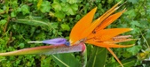 Enlarge photo 253