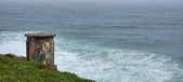 Enlarge photo 273