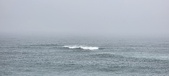 Enlarge photo 276