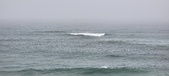 Enlarge photo 277